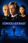 ¿Conoces a Joe Black? [WEB-DL MicroHD][1080p][Cas-Ing][1998]